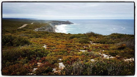 2-Day Kangaroo Island Adventure Tour From Adelaide - Australia Accommodation 4