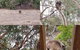 2-Day Kangaroo Island Adventure Tour From Adelaide - thumb 3