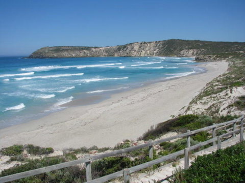 2-Day Kangaroo Island Adventure Tour From Adelaide - Australia Accommodation 11