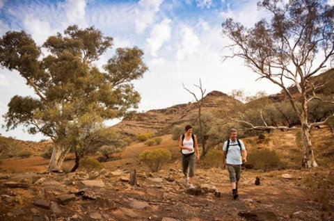 Flinders Ranges 3 Day 4WD Small Group Eco Tour From Adelaide - Australia Accommodation 0