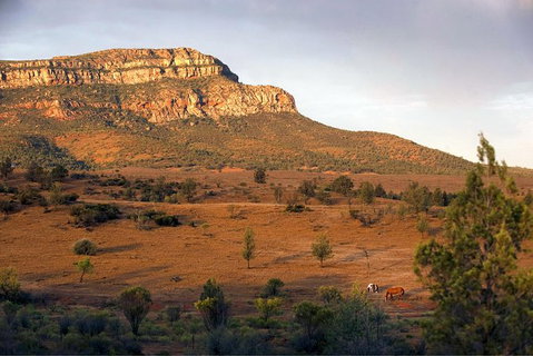 Flinders Ranges 3 Day 4WD Small Group Eco Tour From Adelaide - Australia Accommodation 8