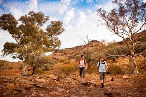 Flinders Ranges 3 Day 4WD Small Group Eco Tour From Adelaide - Australia Accommodation 3