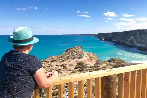 3 Day Whale Watching Tour From Adelaide - Australia Accommodation 2
