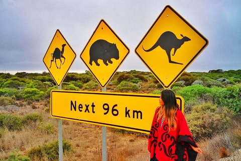 3 Day Whale Watching Tour From Adelaide - Australia Accommodation 10