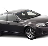 Private Arrival Transfer Adelaide Airport to Hotel - Australia Accommodation