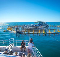 2 Hour Aquarium Tour - Australia Accommodation