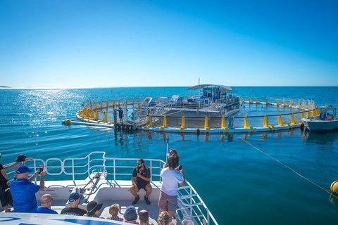 2 Hour Aquarium Tour - Australia Accommodation 0