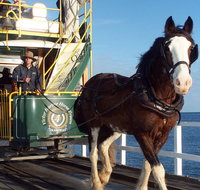 Full-Day Tour in South Australia Highlights - Australia Accommodation