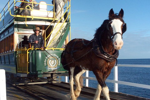 Full-Day Tour In South Australia Highlights - Australia Accommodation 0