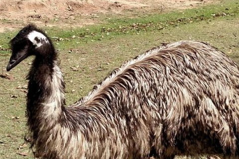 Full-Day Tour In South Australia Highlights - Australia Accommodation 3