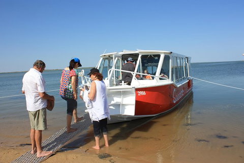 Coorong National Park Wildlife Cruise From Goolwa - Australia Accommodation 1