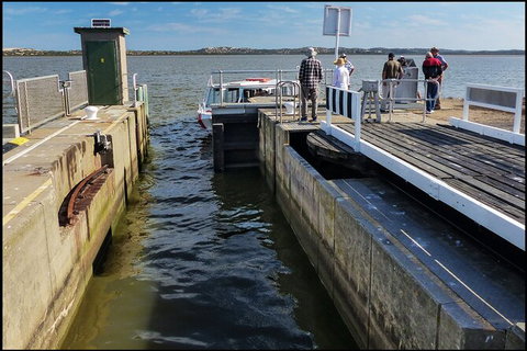 Coorong National Park Wildlife Cruise From Goolwa - Australia Accommodation 4