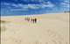 Coorong National Park Wildlife Cruise From Goolwa - thumb 3