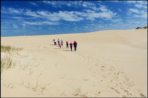 Coorong National Park Wildlife Cruise From Goolwa - Australia Accommodation 3