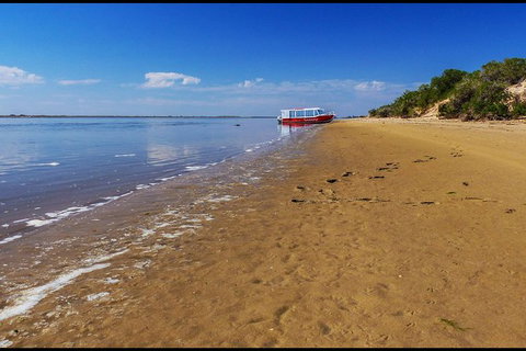 Coorong National Park Wildlife Cruise From Goolwa - Australia Accommodation 6