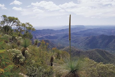 Flinders Ranges & Outback â€“ 3 Day Small Group Eco Safari - Australia Accommodation 1