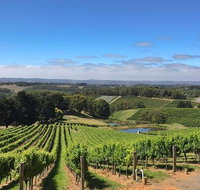 Small-Group Full-Day Adelaide Hills and Hahndorf Wine Tour from Adelaide - Australia Accommodation