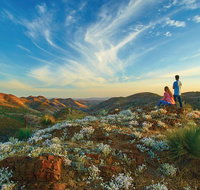 7-Night Murraylands and Wildlife Cruise - Australia Accommodation