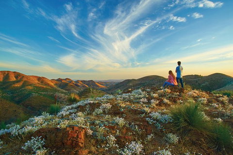 7-Night Murraylands And Wildlife Cruise - Australia Accommodation 0