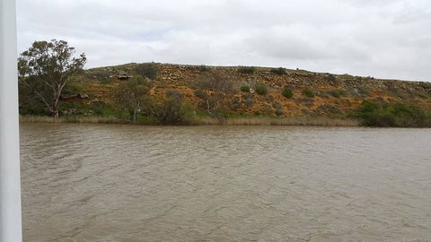 Murray River Riverboat Tour Including Lunch From Adelaide - Australia Accommodation 9