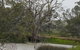 Murray River Riverboat Tour Including Lunch From Adelaide - thumb 2
