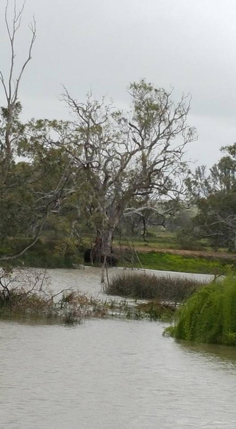 Murray River Riverboat Tour Including Lunch From Adelaide - Australia Accommodation 2