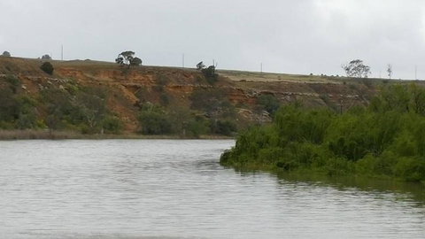 Murray River Riverboat Tour Including Lunch From Adelaide - Australia Accommodation 6