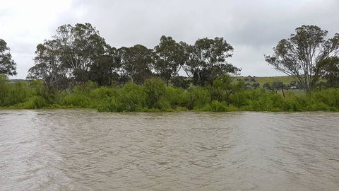 Murray River Riverboat Tour Including Lunch From Adelaide - Australia Accommodation 10