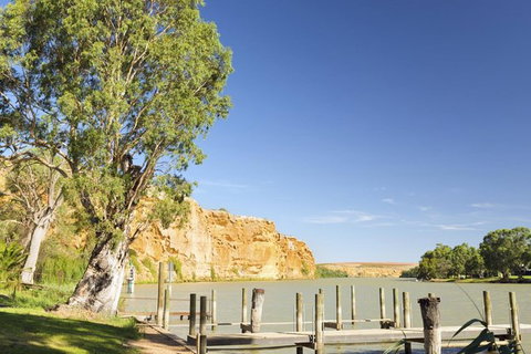 Murray River Riverboat Tour Including Lunch From Adelaide - Australia Accommodation 1