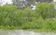 Murray River Riverboat Tour Including Lunch From Adelaide - thumb 5
