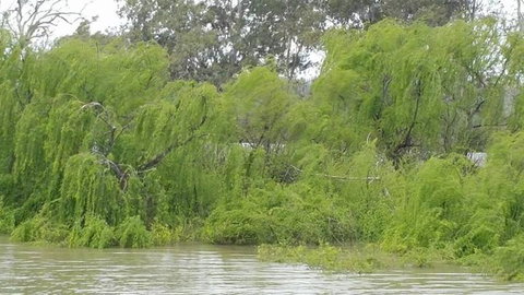Murray River Riverboat Tour Including Lunch From Adelaide - Australia Accommodation 5