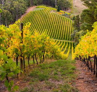 Private Adelaide Hills Wine Region Tour - Australia Accommodation