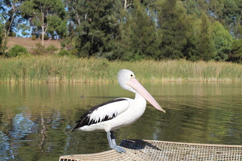 Private Arrival Transfer From Adelaide Airport To Adelaide City - Australia Accommodation 1
