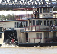 Murray River Lunch Cruise by Paddle Wheeler from Murray Bridge - Australia Accommodation