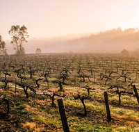 Barossa Valley Private Tour It's your tour the way you want it. - Australia Accommodation