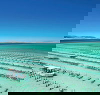 Coffin Bay Day Tour - A Taste of Coffin Bay - Australia Accommodation