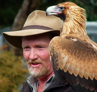Kangaroo Island Wildlife Day Trip from Adelaide Including Seal Bay - Australia Accommodation