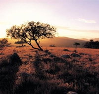 Adelaide To Coober Pedy 7 DAY SMALL GROUP 4WD SAFARI - Australia Accommodation