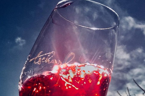 Private Winery Tour Chauffeured - Australia Accommodation 7