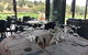 Private Winery Tour Chauffeured - thumb 20