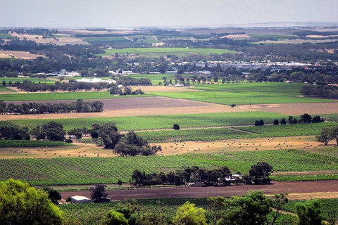 Small Tour Barossa Valley Voyager Tour From Adelaide Or Glenelg - Australia Accommodation 0