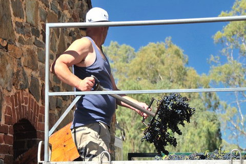 Small Tour Barossa Valley Voyager Tour From Adelaide Or Glenelg - Australia Accommodation 3