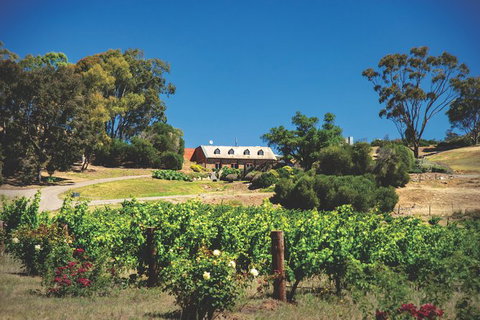 Small Tour Barossa Valley Voyager Tour From Adelaide Or Glenelg - Australia Accommodation 9