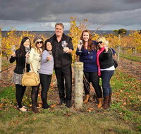 McLaren Vale Winery Small Group Tour with Wine Tasting and Lunch - Australia Accommodation