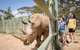 Rhino Interactive And A Day At Monarto Safari Park - thumb 0