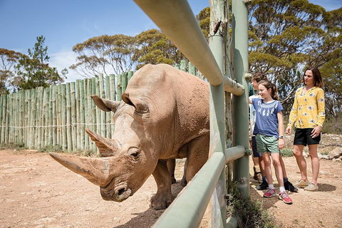 Rhino Interactive And A Day At Monarto Safari Park - Australia Accommodation 0