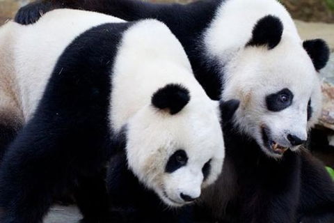 Adelaide City Tour With Optional River Cruise And Adelaide Zoo Admission - Australia Accommodation 1