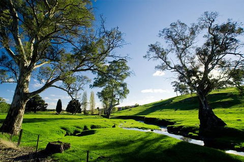 Adelaide Highlights And Hahndorf Tour With Optional River Cruise - Australia Accommodation 0