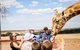 Giraffe Safari And A Day At Monarto Safari Park - thumb 1