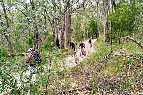 Mount Lofty Descent Bike Tour From Adelaide - Australia Accommodation 5